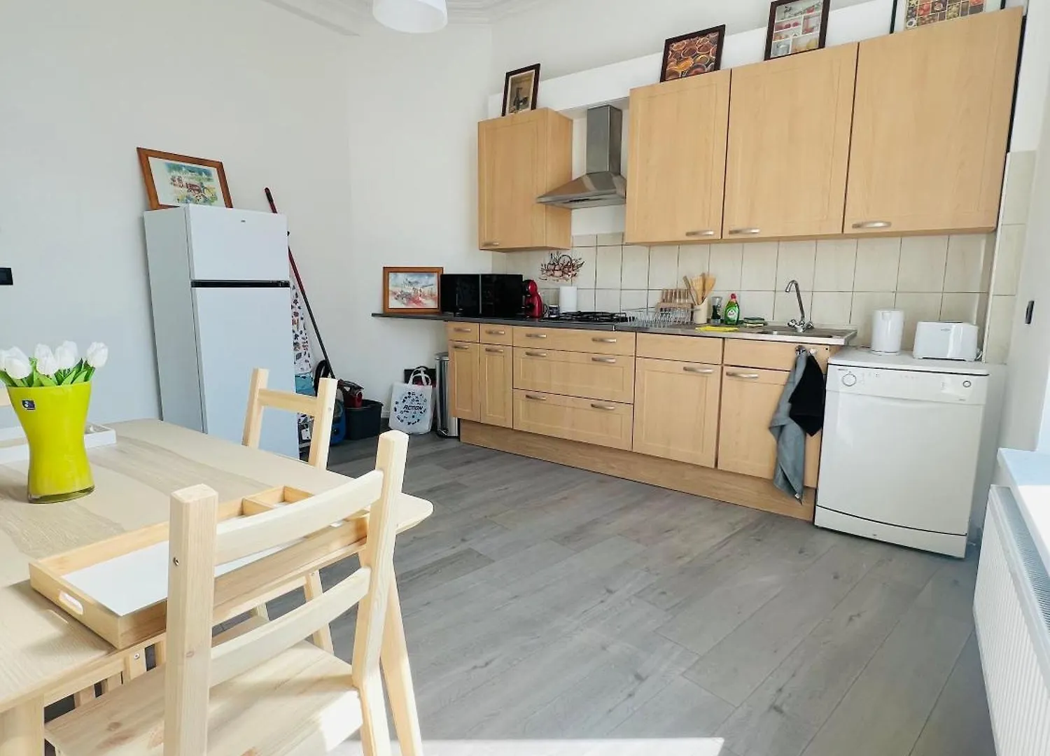 Renove Et Radieux A Bruxelles Apartment Brussels